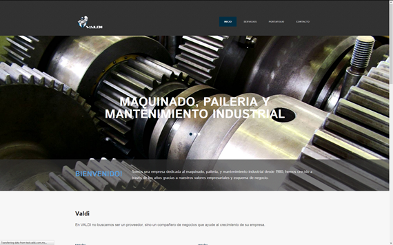 www.valdi.com.mx
